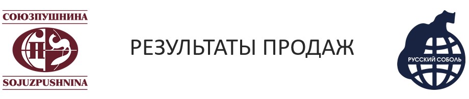 Российский союз автострахования